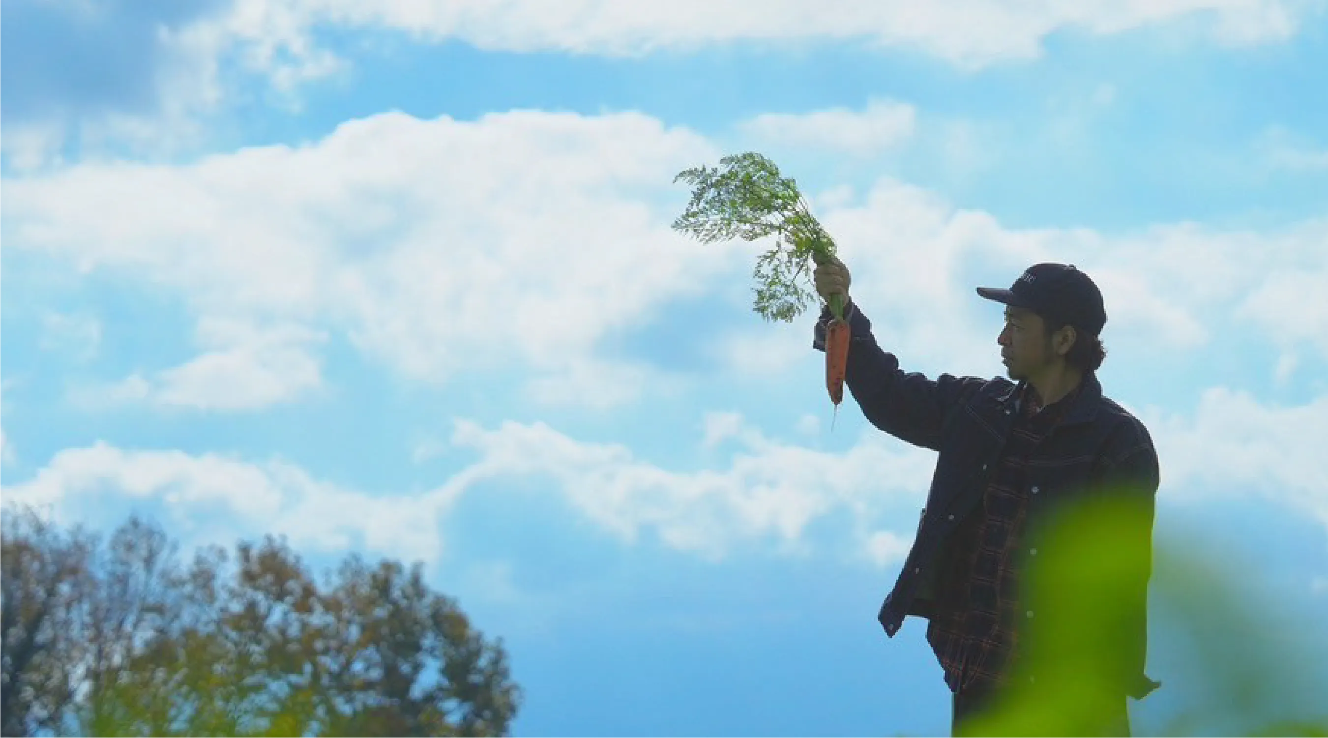 吉野農産の畑や作物の様子を伝える活動日誌ブログ