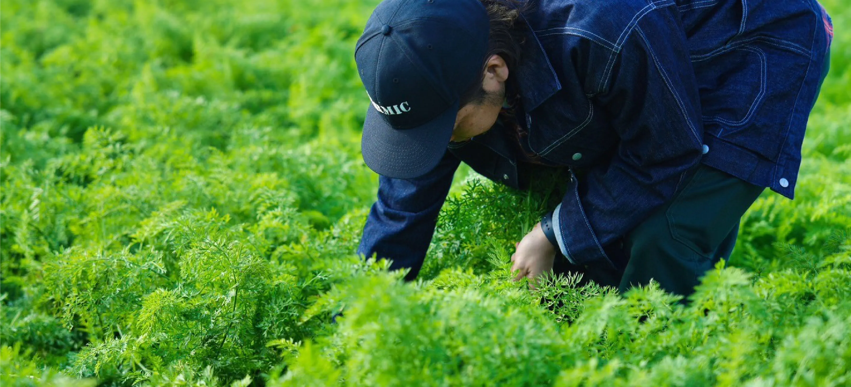 吉野農産からのお知らせ記事
