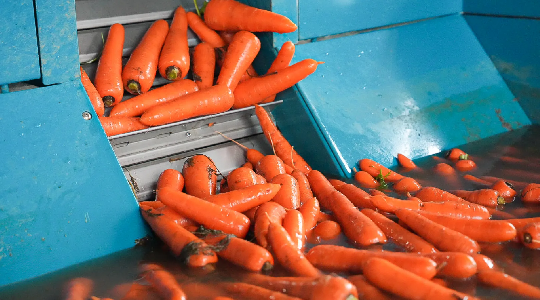 吉野農産の取り組み・事業内容紹介ページ