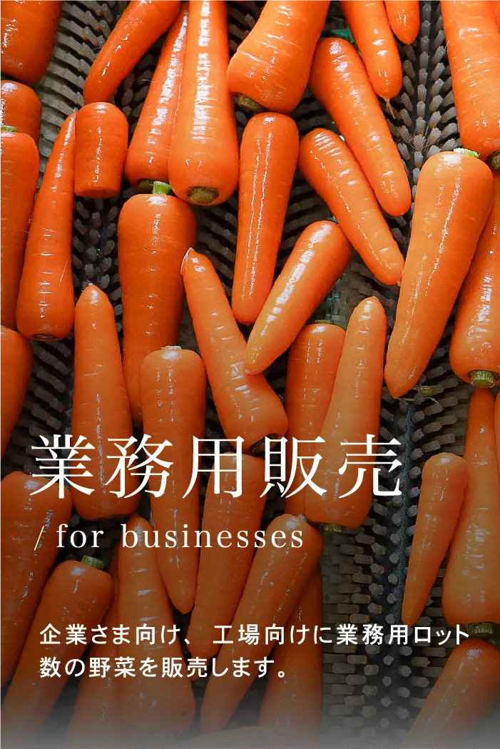 飲食店・工場向け業務用野菜の販売