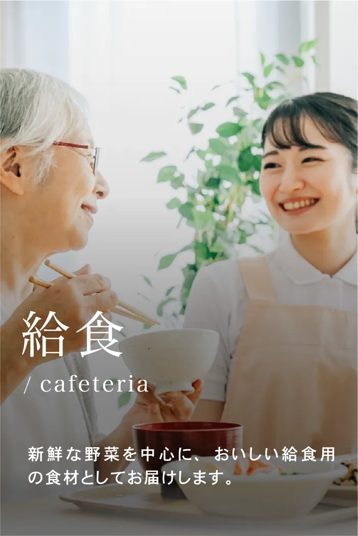 学校給食向けの野菜提供